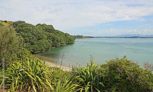 Shelly Bay, New Zealand