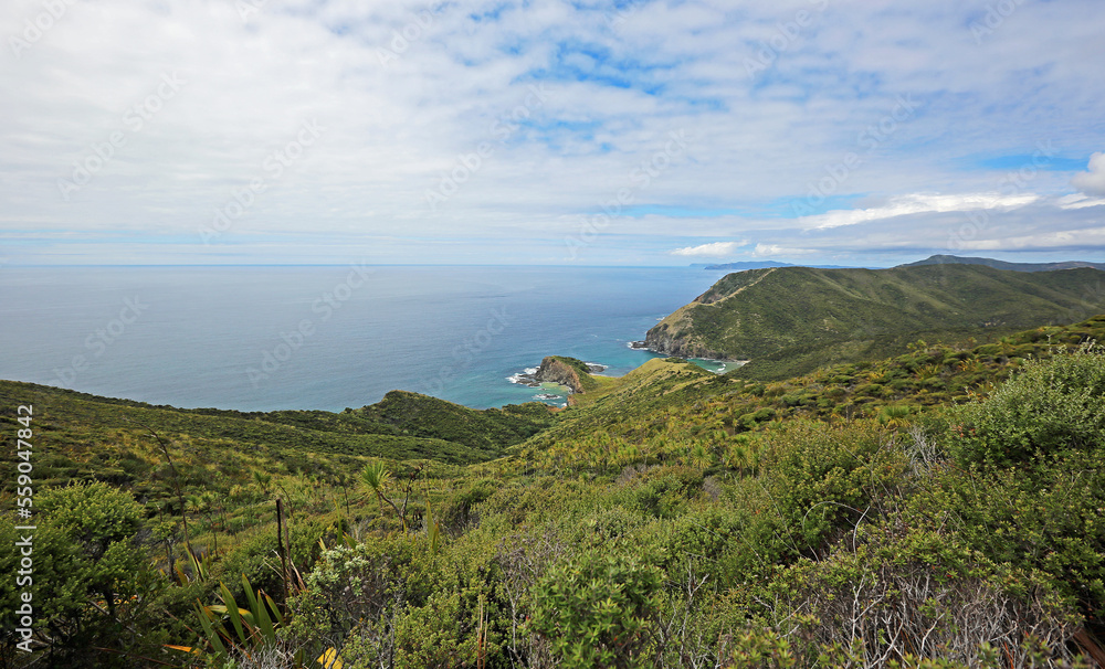 North coast of New Zealand