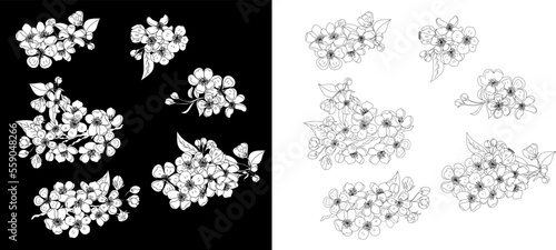 Free hand Sakura flower vector set, Beautiful line art Peach blossom isolate on white background.Branch of cherry blossom for printing on wallpapers and sticker.Japanese flower.Golden line art.