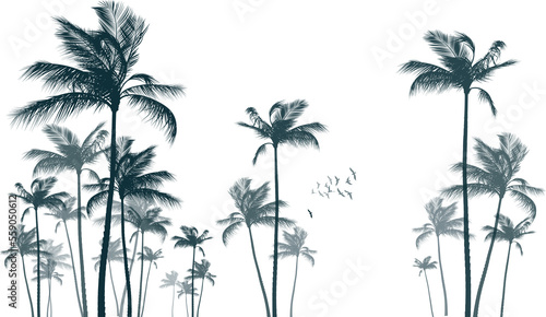 Palm tree silhouette