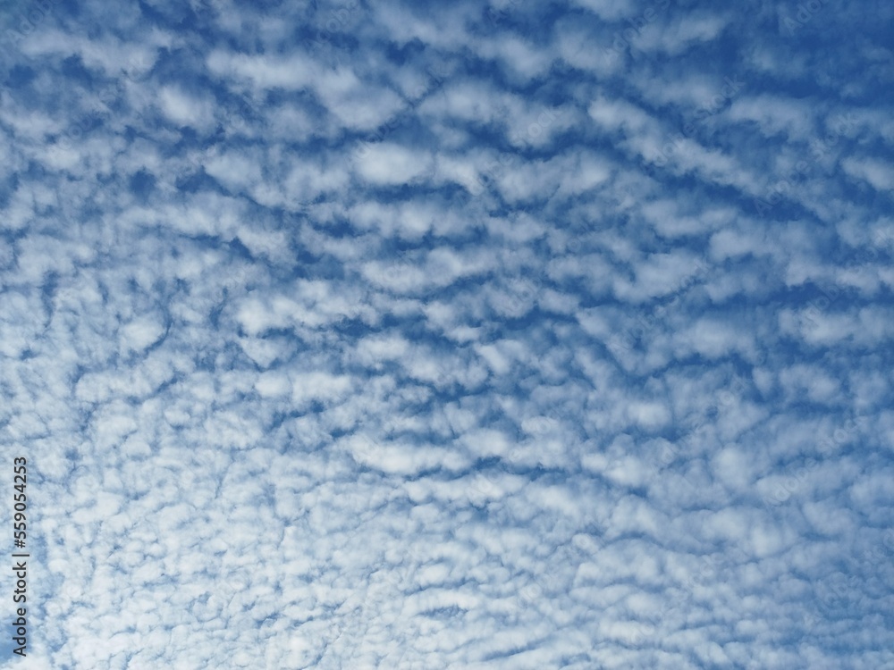 Foto de A mackerel sky is a common term for clouds made up of rows of