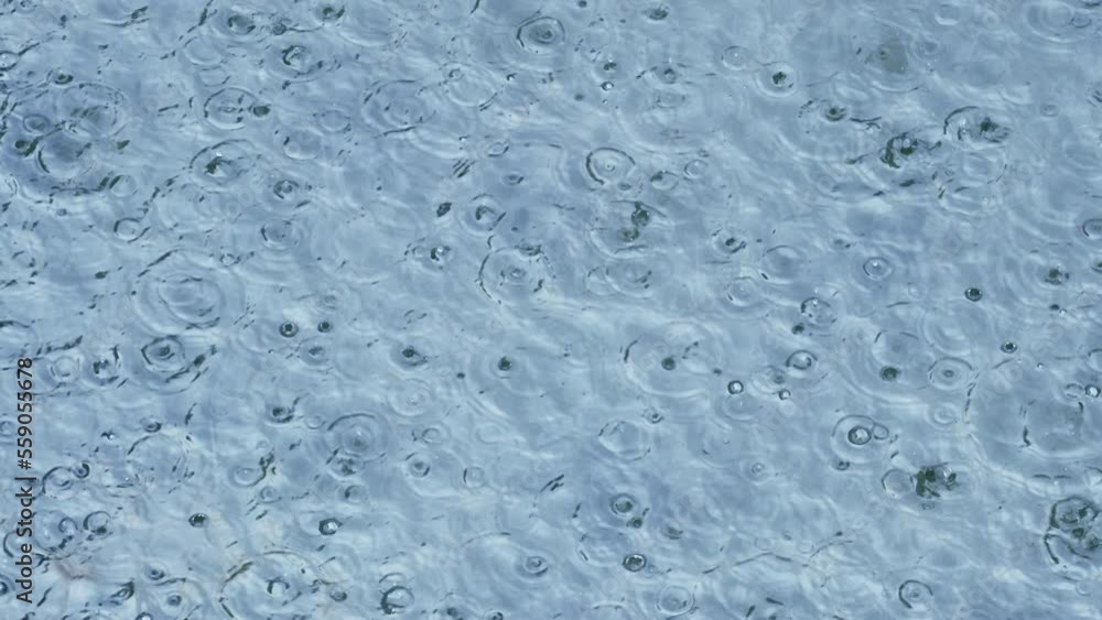Raindrops fall into the pond. Ripples on the water. A gloomy dreary day Raindrops fall into the pond. Ripples on the water. A gloomy dreary day