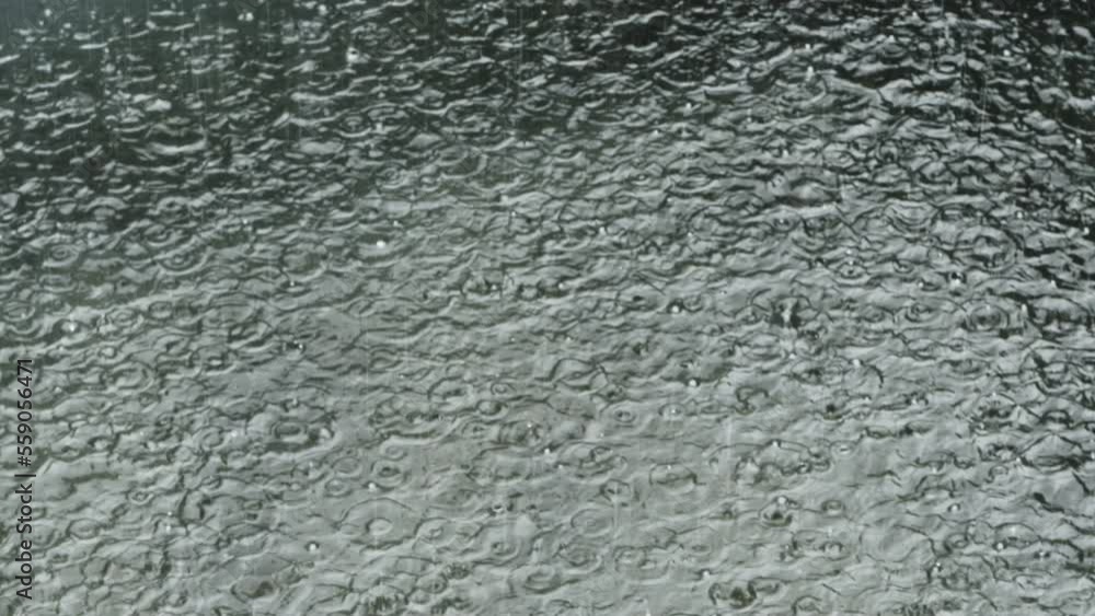 Raindrops fall into the pond. A gloomy dreary day. Ripples on the water Raindrops fall into the pond. A gloomy dreary day. Ripples on the water