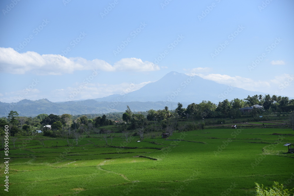 landscape with mountains and sky
views of the rice fields and mountains of Seulawah in Aceh Besar