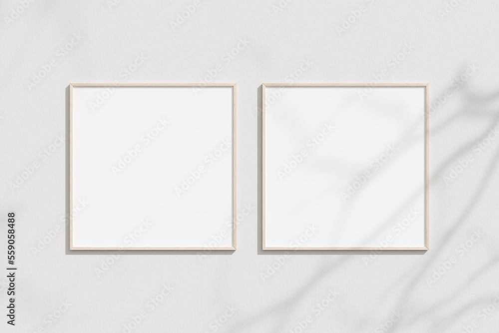 Empty frame on the white wall with branches shadow Empty frame on the white wall with branches shadow