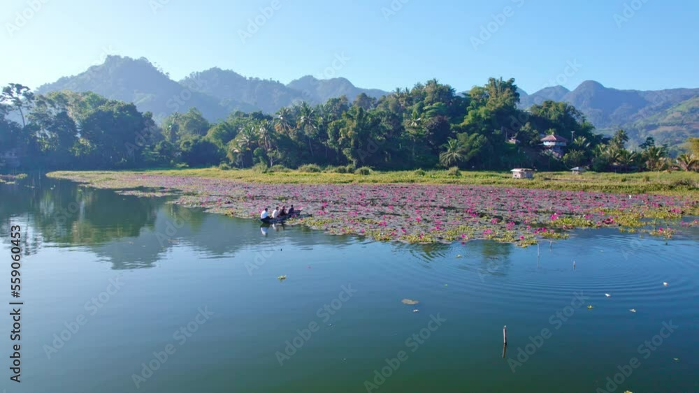 Lake Sebu lotos farm Cotabato. canoe in the lake Lake Sebu lotos farm Cotabato. canoe in the lake