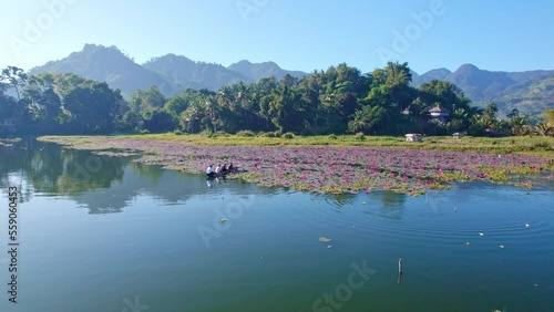 Lake Sebu lotos farm Cotabato. canoe in the lake