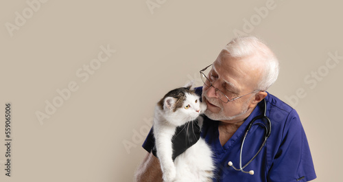 A charismatic elderly veterinarian in glasses and a mask with a stethoscope examines a cat in a veterinary hospital, close-up, light background, space for text, banner