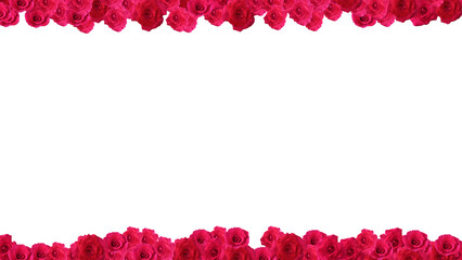 frame flower red rose pink for valentine day or wedding event card