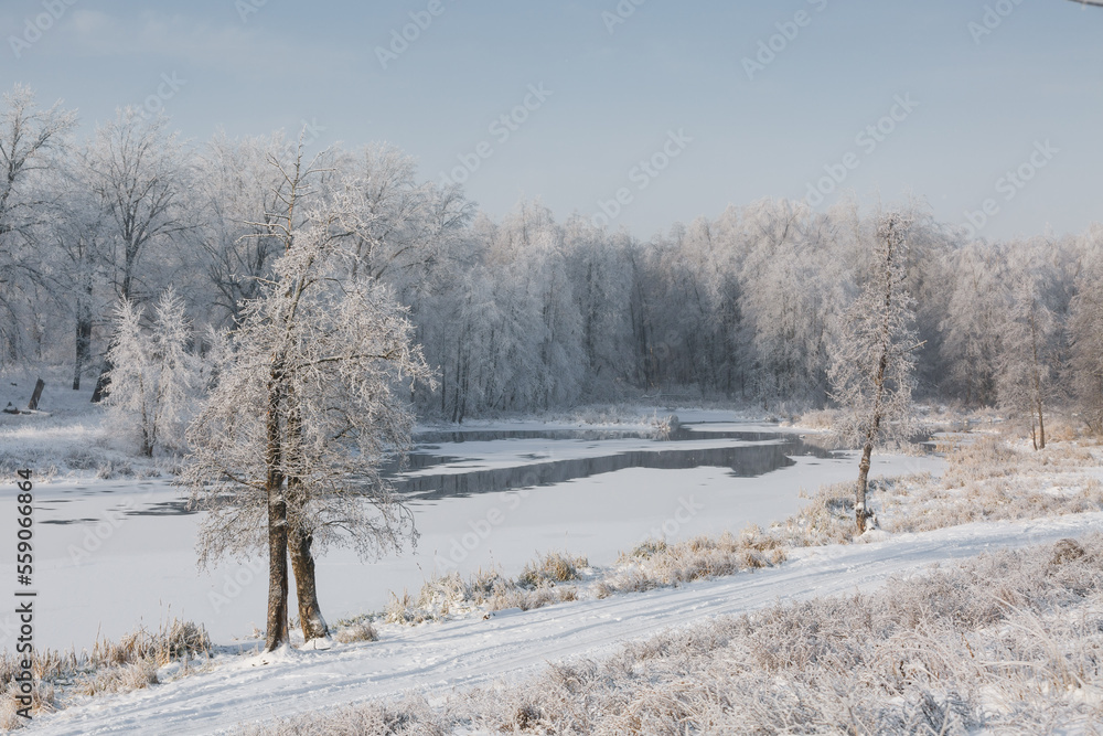 winter river, view of the snowy forest, winter nature winter river, view of the snowy forest, winter nature