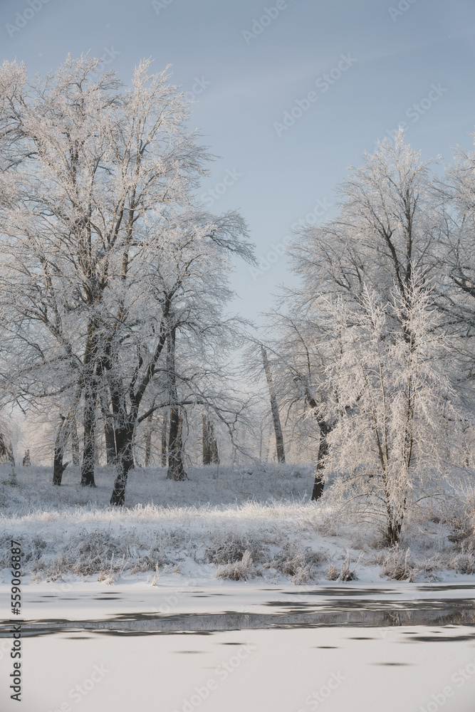 winter river, view of the snowy forest, winter nature winter river, view of the snowy forest, winter nature
