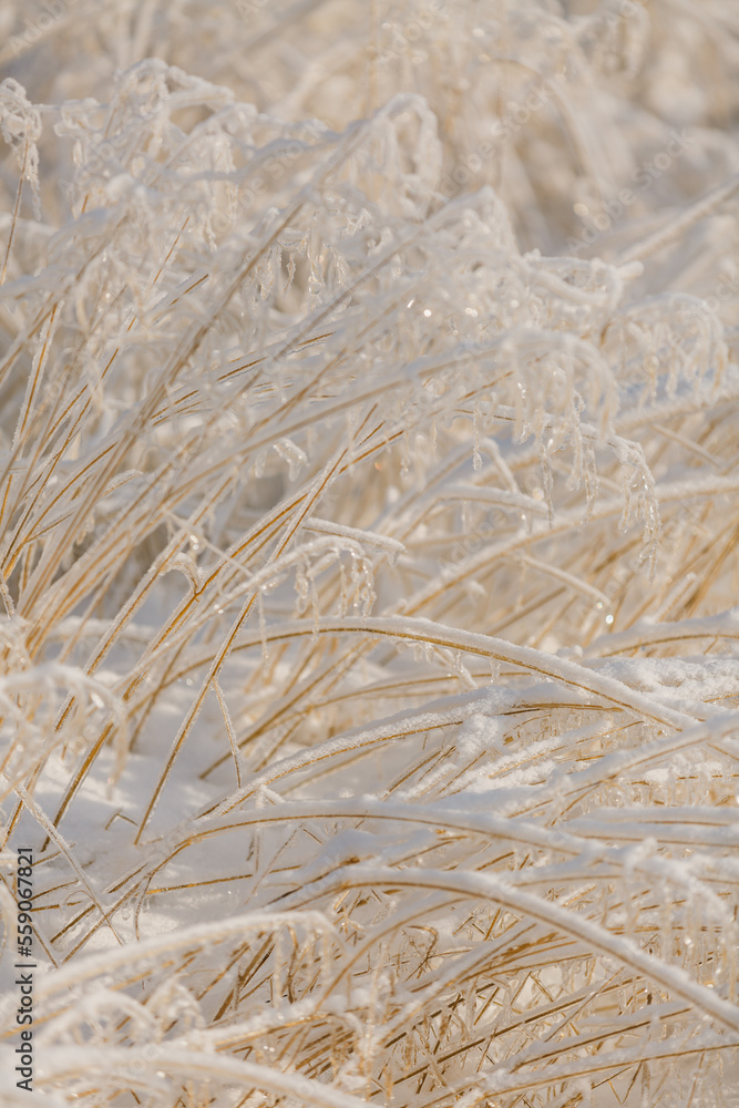 snow patterns, textures, christmas background, close-up snow patterns, textures, christmas background, close-up