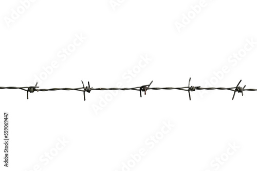 barbed wire isolated on white