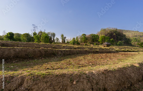 Dry rice fields with mountain background Asia photo