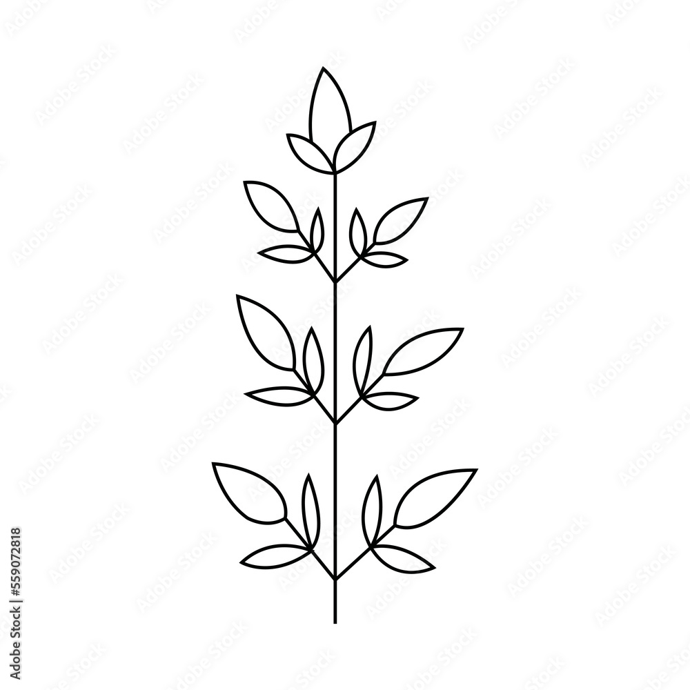 Hand drawn plant illustration. Hand drawn plant illustration.
