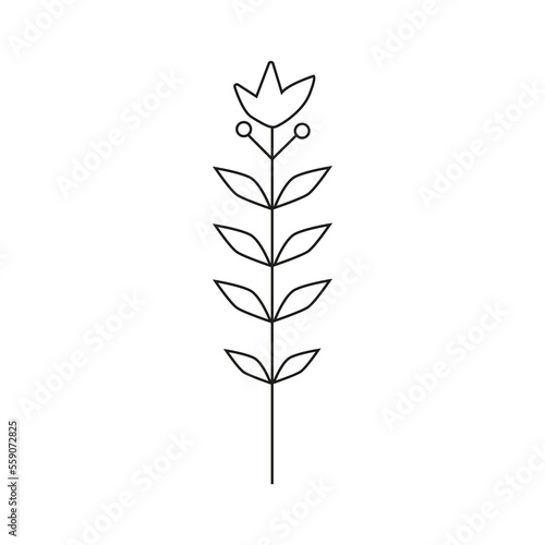 Hand drawn plant illustration.