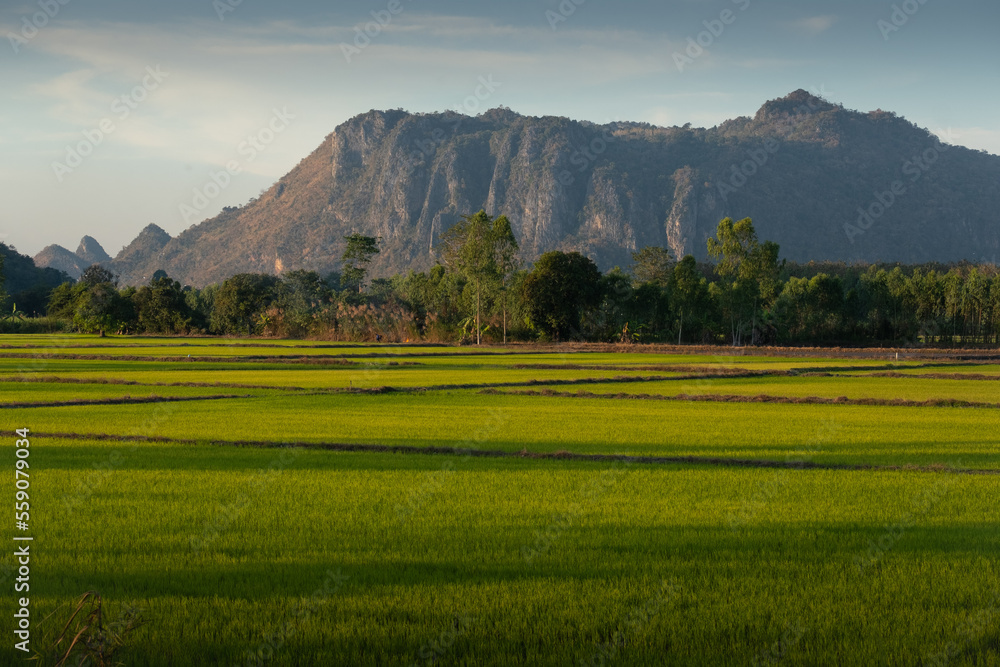 Obraz premium Image of beautiful Terraced rice field in water season