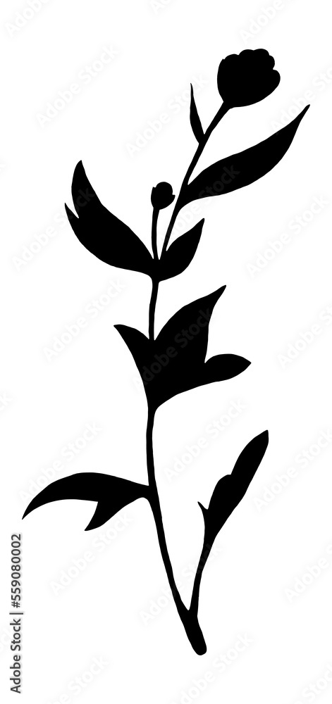 Chrysanthemum Bud Silhouette with Leaves Isolated on White Background. Chrysanthemum Flower Element Drawn by Pencil. Chrysanthemum Bud Silhouette with Leaves Isolated on White Background. Chrysanthemum Flower Element Drawn by Pencil.