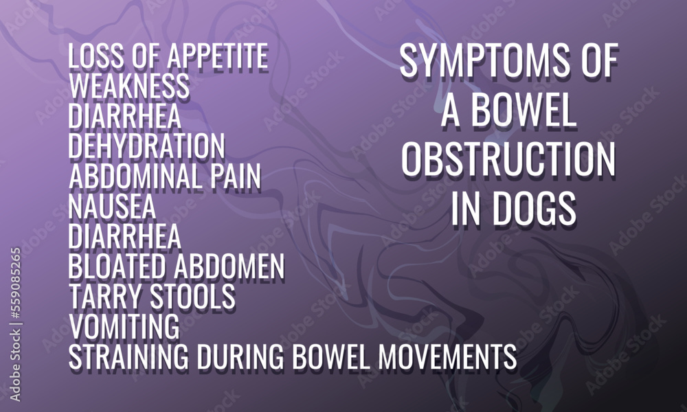 Symptoms of a bowel obstruction in Dogs. Vector illustration for