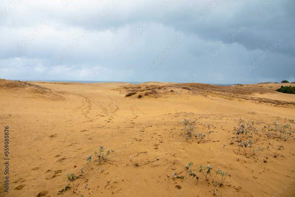 Tottori Sand Dunes are sand dunes located outside the city center of Tottori in Tottori Prefecture, Japan. At a length of 9 miles (14 km) and less than 1.5 miles (2.4 km) wide. Tottori Sand Dunes are sand dunes located outside the city center of Tottori in Tottori Prefecture, Japan. At a length of 9 miles (14 km) and less than 1.5 miles (2.4 km) wide.