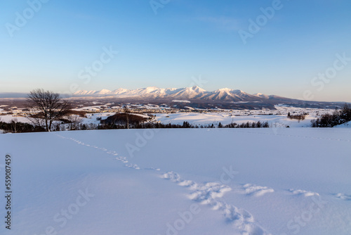 冬の十勝岳連峰 © ktktmik