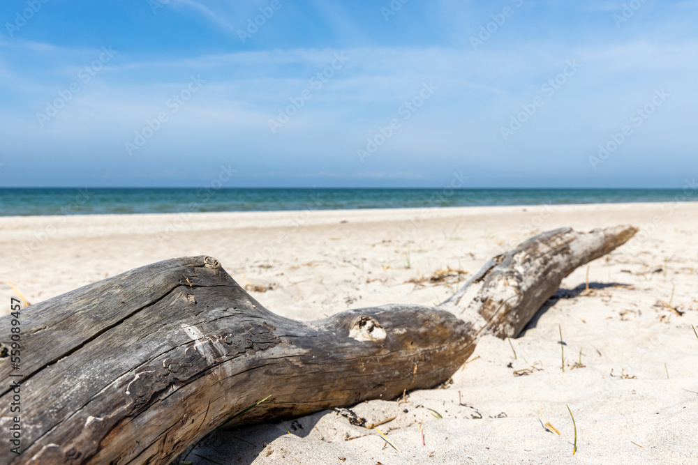 Ostseestrand Weststrand Darßer Ort