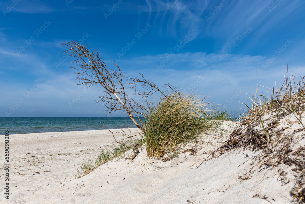 Ostseestrand Weststrand Darßer Ort