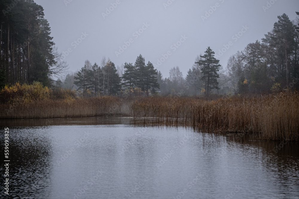 Fototapeta premium dark autumn misty landscape with forest, forest lake, pond in wods, calm water, river reeds with reflection.