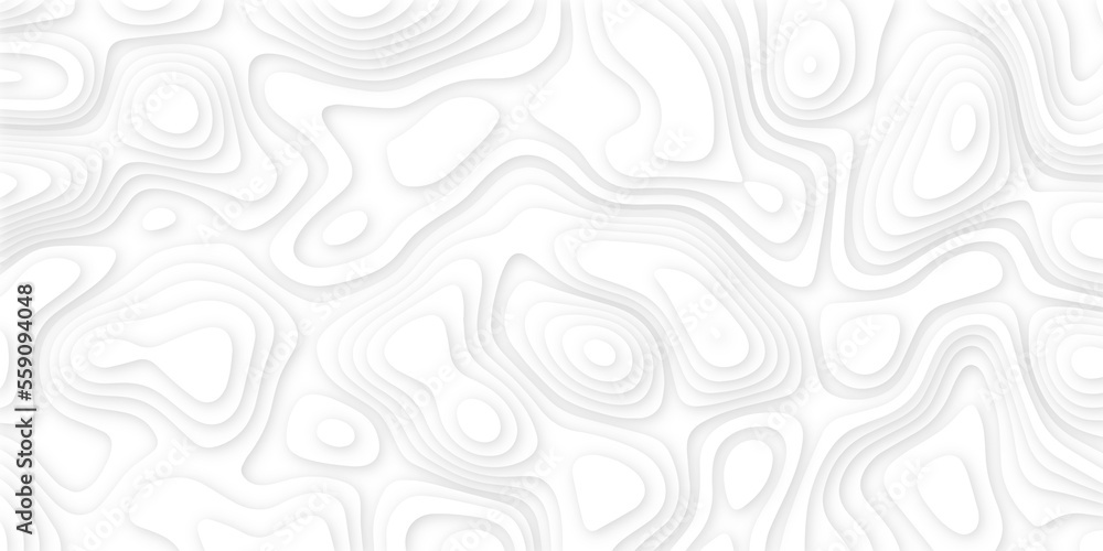 Abstract 3d wavy line paper cut white background.realistic papercut decoration textured with wavy layers.3d Topographic canyon geometric map relief texture with curved layers and shadow. Abstract 3d wavy line paper cut white background.realistic papercut decoration textured with wavy layers.3d Topographic canyon geometric map relief texture with curved layers and shadow.