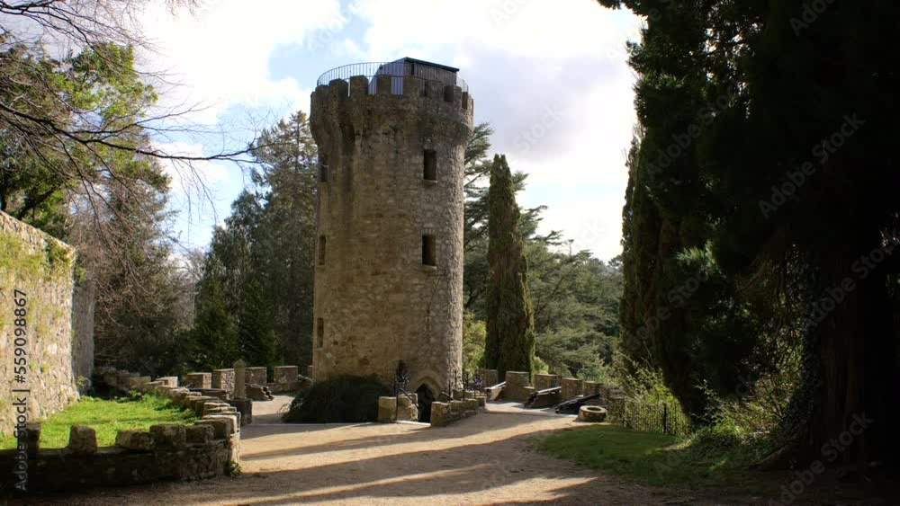 Historical Defense Tower With Trees Around Historical Defense Tower With Trees Around