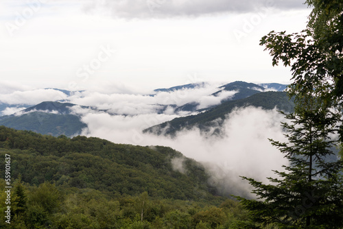 Mountains in clouds at sunrise in summer. mountain with green trees in fog. Beautiful landscape with high rocks, forest, sky. mountain in clouds