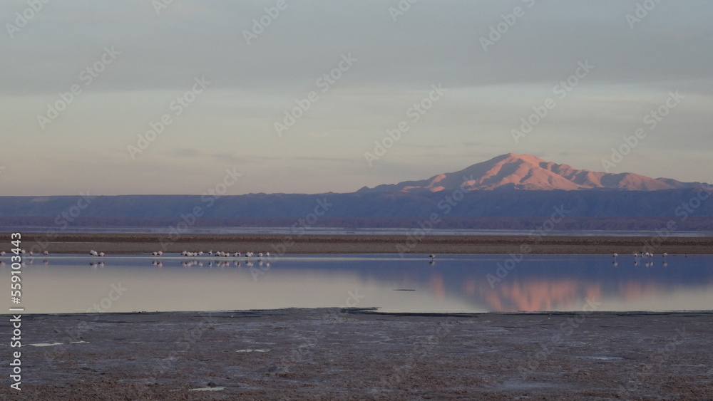 Paisagem Deserto do Atacama Chile -Landscape Atacama Desert Chile Flamingos
