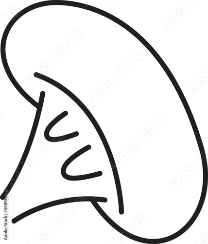 kidney icon 