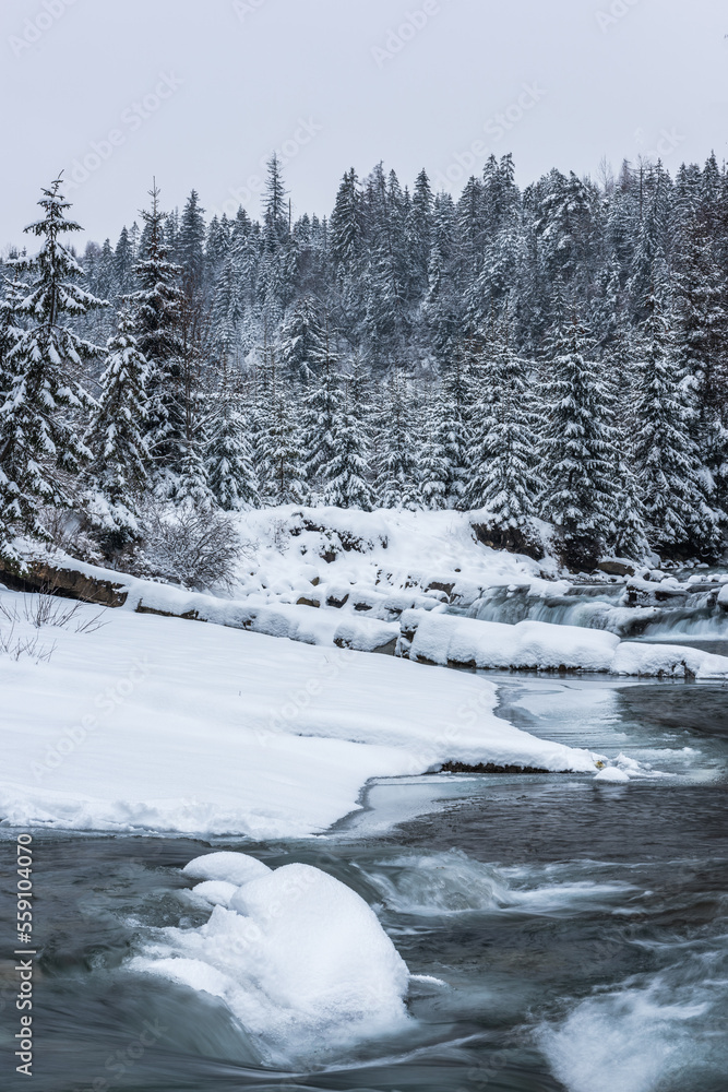 Snow covered trees and wild river in mountains at winter