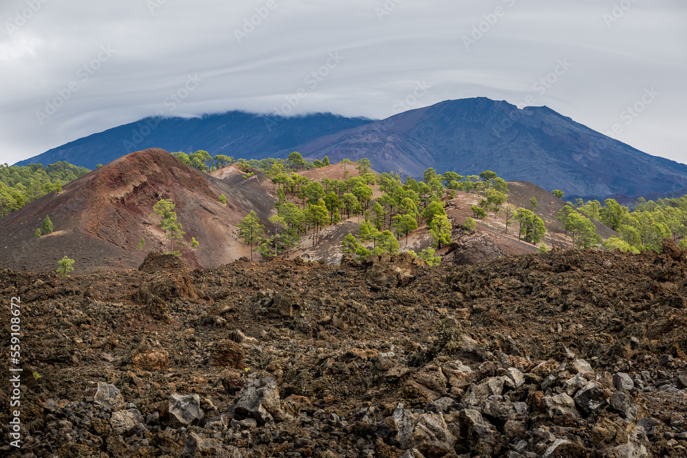 Volcanic Rock Landscape Overlooking Mount Teide