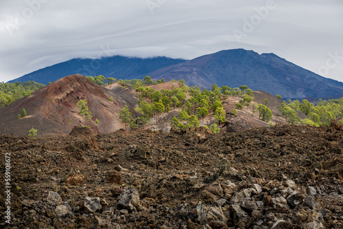 Volcanic Rock Landscape Overlooking Mount Teide