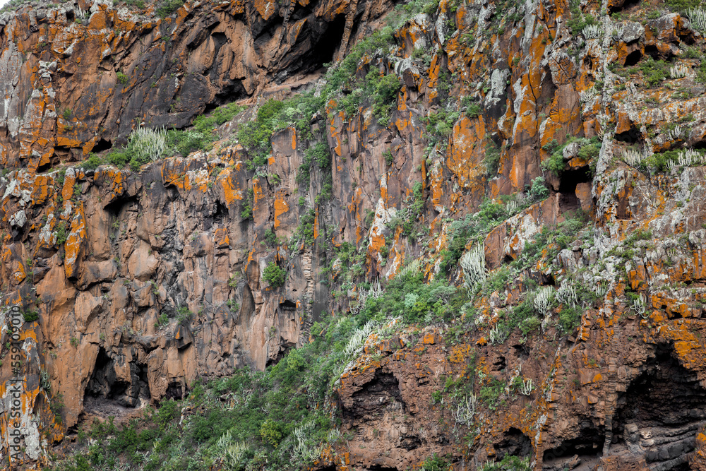 Orange and Green Rock Face of Northern Tenerife Cliffs with Cracks and Crevices