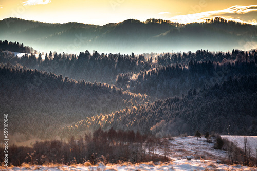 Zimowy widok na dzikie Bieszczady, Polska