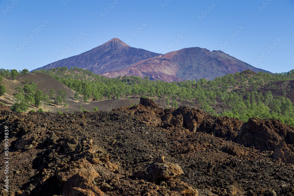 Mount Teide Above a Volcanic Landscape