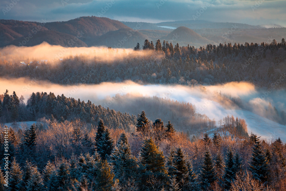 Awsome misty morning over the mountain forest during wintertime, Bieszczady, Poland