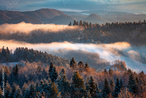 Obraz na płótnie Awsome misty morning over the mountain forest during wintertime, Bieszczady, Poland w salonie