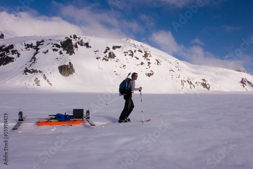 Glacier geology PhD student skis over the Brady Glacier, while pulling a sled of geophysical equipment. photo
