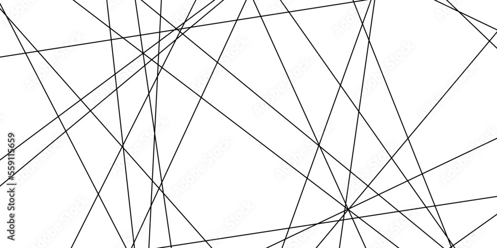 Obraz premium Abstract lines in black and white tone of many squares and rectangle shapes on white background. Metal grid isolated on the white background. nervures de Feuillet mores, fond rectangle and geometric.