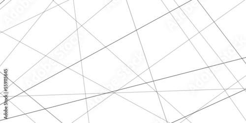 Abstract lines in black and white tone of many squares and rectangle shapes on white background. Metal grid isolated on the white background. nervures de Feuillet mores, fond rectangle and geometric.