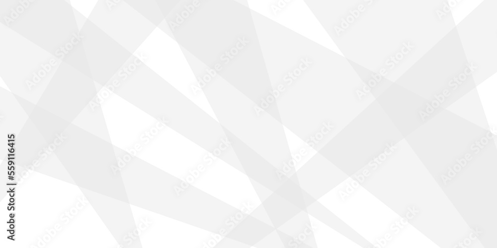white and grey glossy squares abstract tech banner design .Geometric lines angles and triangle shapes Texture of an old surface .white crumpled paper, abstract geometric, luxury, with lines .Vector white and grey glossy squares abstract tech banner design .Geometric lines angles and triangle shapes Texture of an old surface .white crumpled paper, abstract geometric, luxury, with lines .Vector