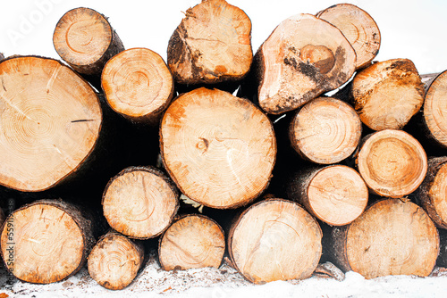 Wood cutting in the winter. Logging timber  log trunks pile in the forest. Forest wood industry.