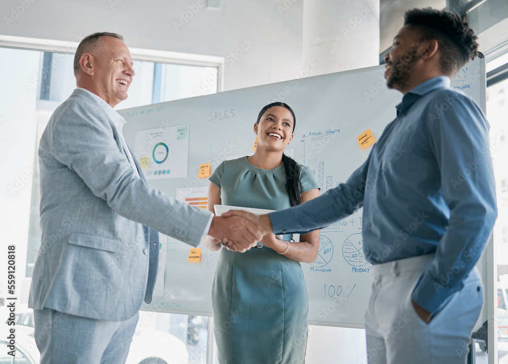 Obraz premium Teamwork, collaboration and business people handshake for partnership, b2b or hiring contract. Welcome, thank you and group, employees or workers shaking hands for onboarding, recruitment or deal.