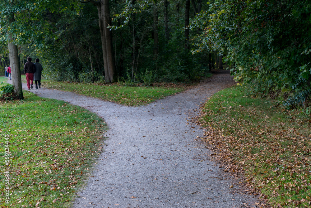 Fototapeta premium Netherlands, Hague, Haagse Bos, a path with grass and trees