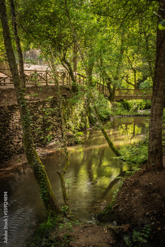 Wooden footbridge and vegetation in Stanislaus fountain park