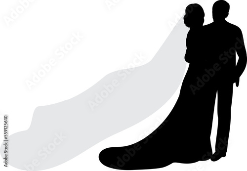 bride and groom with veil silhouette design